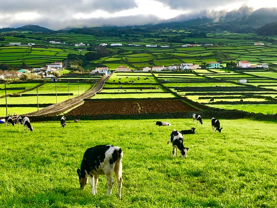 AD60C189-C1B9-4062-80DD-C2C70CBA3262